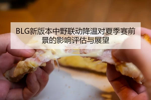 BLG新版本中野联动降温对夏季赛前景的影响评估与展望