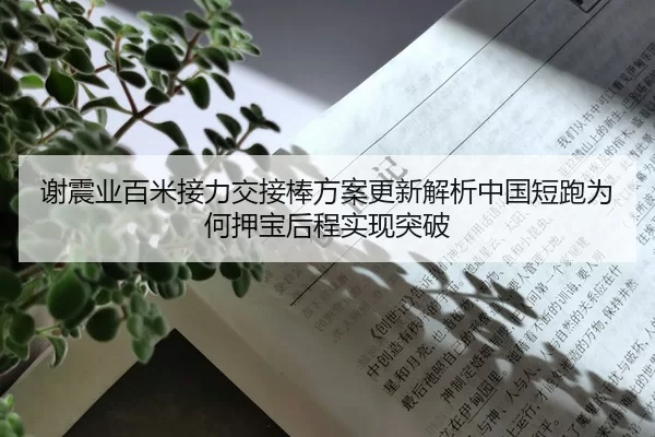 谢震业百米接力交接棒方案更新解析中国短跑为何押宝后程实现突破
