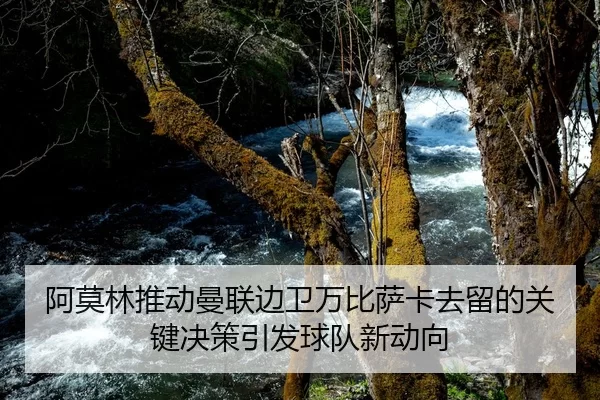 阿莫林推动曼联边卫万比萨卡去留的关键决策引发球队新动向