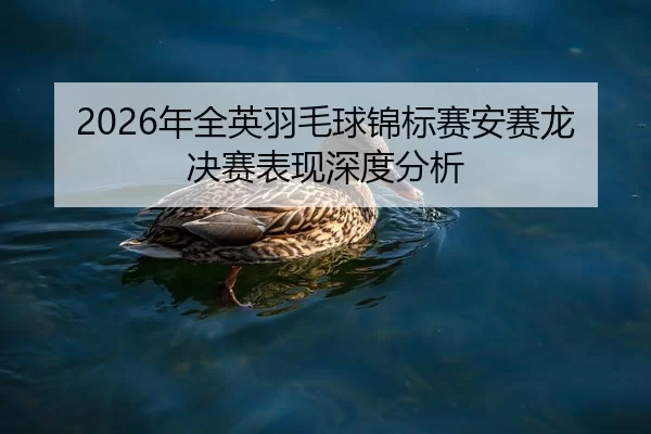 nian-quan-ying-yu-mao-qiu-jin-biao-sai-an-sai-long-jue-sai-biao-xian-shen-du-fen-xi-2-481.jpg