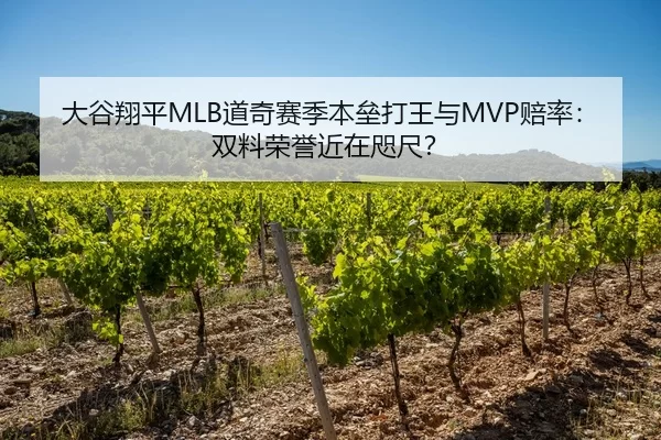 大谷翔平MLB道奇赛季本垒打王与MVP赔率：双料荣誉近在咫尺？