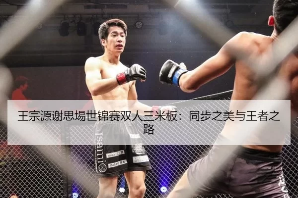 王宗源谢思埸世锦赛双人三米板：同步之美与王者之路