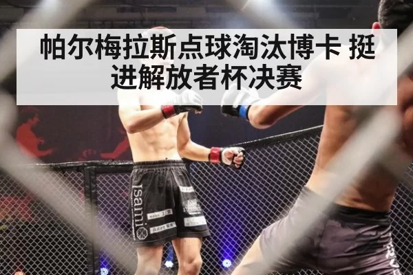 帕尔梅拉斯点球淘汰博卡 挺进解放者杯决赛